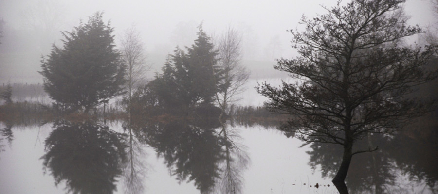 Kieran Cummins Photography
